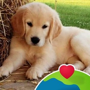 Meet your Posher, Tien